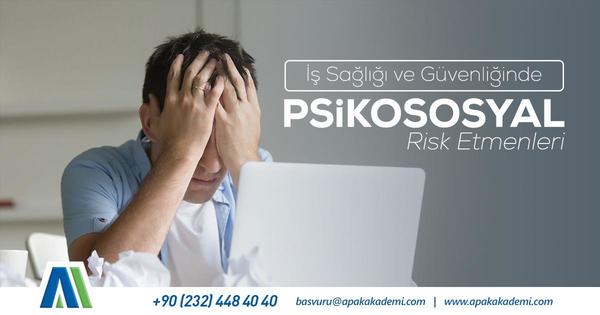 İş Sağlığı ve Güvenliğinde Psikososyal Risk Etmenleri