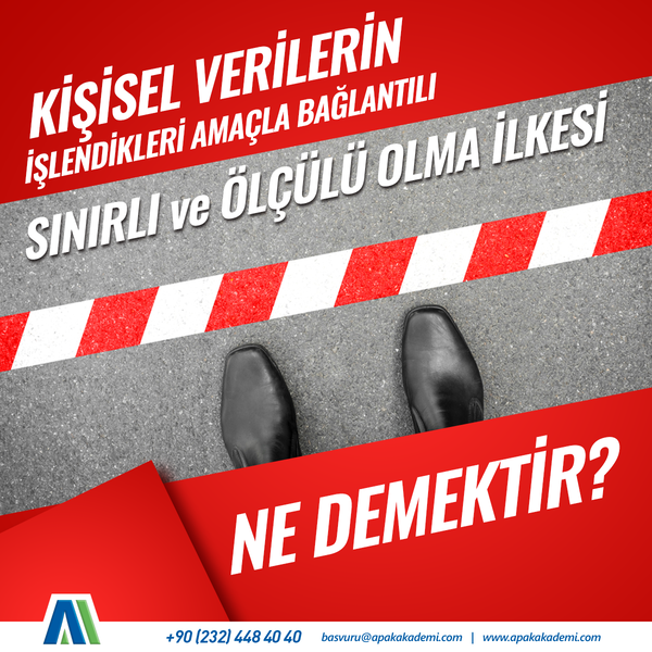 Kişisel Verilerin, İşlendikleri Amaçla Bağlantılı, Sınırlı ve Ölçülü Olması İlkesi Ne Demektir?